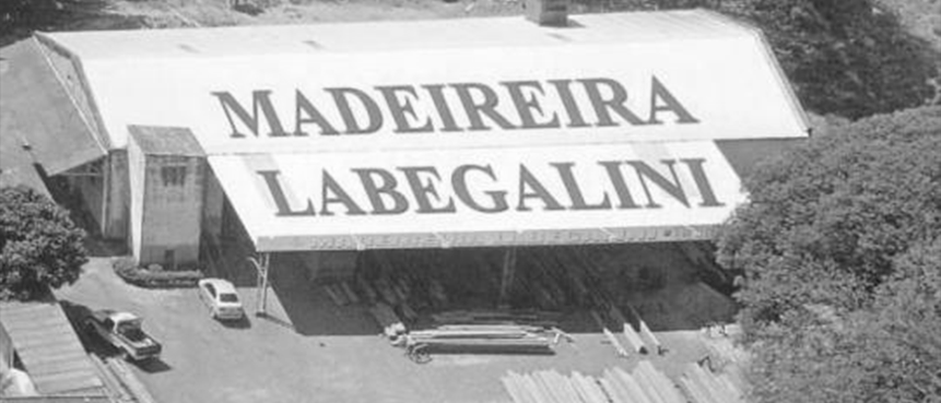 imagem madeireira